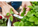 Urban Farmer turning knife 8 cm\1025247808- I314