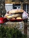 CIABATTA BAKER \ 505502