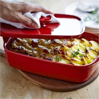 OVEN DISH LIDS\020052