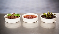 CREME BRULEE-B32