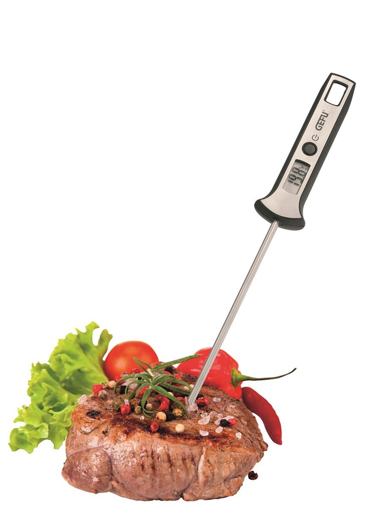 Digital thermometer SCALA®