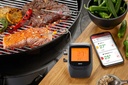Grill and Roast Thermometer CONTROL, 6 channel 