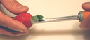 Corer With Extractor (3 cm) \ 2612.03