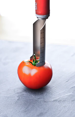 Corer With Extractor (3 cm) \ 2612.03