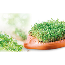 Cress hedgehog \45100
