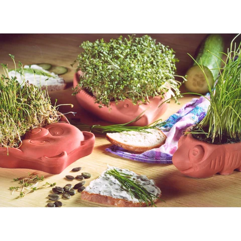 Cress hedgehog \45100